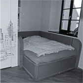 BEHINDERTENGERECHTES BETT MIT BETTKÄSTEN, EICHE / ROTES LEDERPOLSTER UND RAUMTEILER MIT FLÄCHIGER TÜR FÜR WC, SKYLINE NEW YORK, MUTZSCHEN