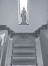 TREPPE, TRITTSTUFEN IN EICHE, WANGEN IN KIEFER, GÖTTWITZ